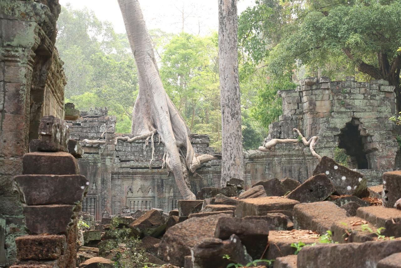 Vilada Angkor Boutique سيام ريب المظهر الخارجي الصورة