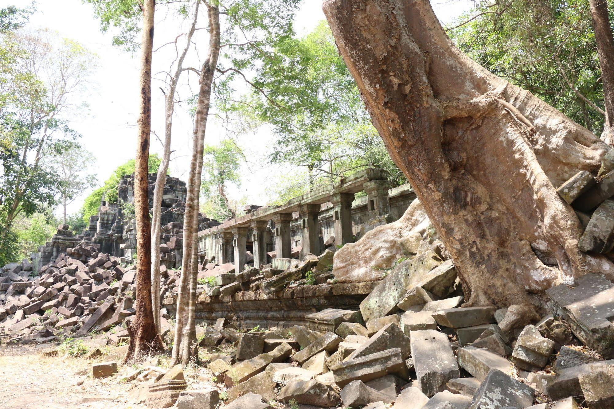 Vilada Angkor Boutique سيام ريب المظهر الخارجي الصورة
